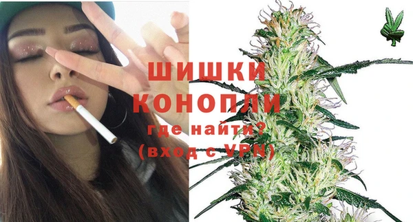 крисы Абаза
